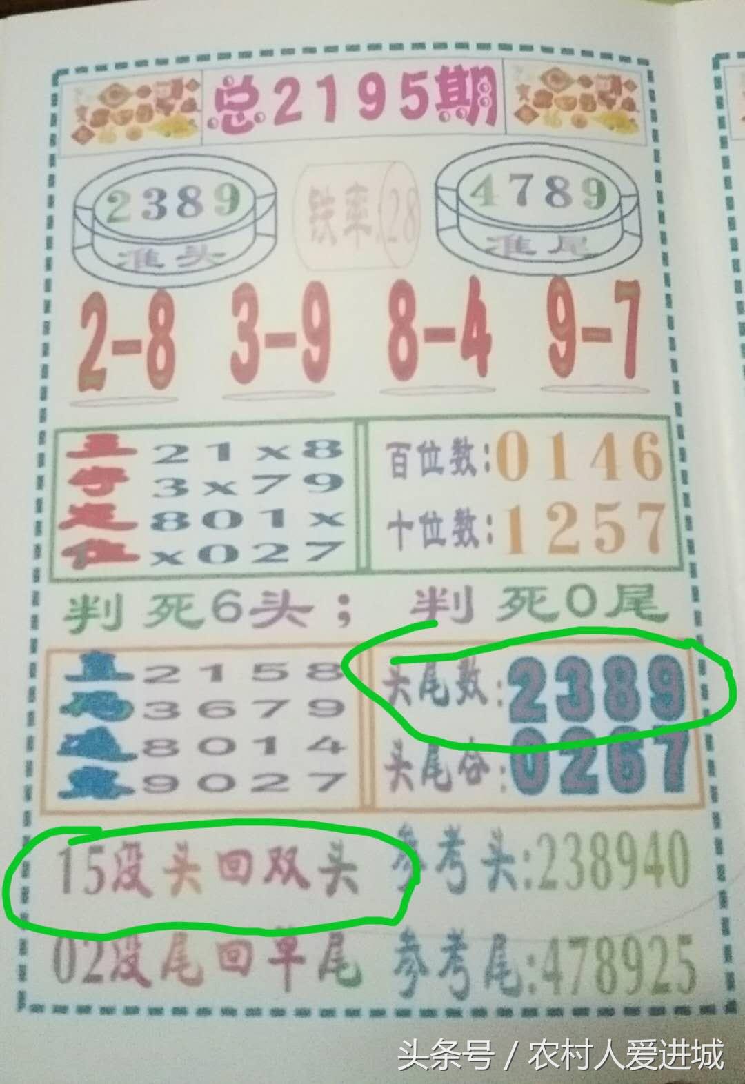 澳门精准资料期期精准每天更新，澳门精准资料期期精准每天更新，探索澳门的精准信息世界