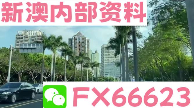 新澳精准资料免费提供265期，新澳精准资料免费提供，探索第265期的奥秘与价值