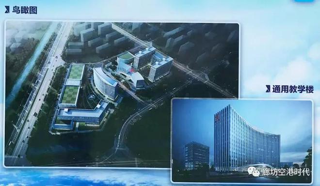 香港新奥彩开奖记录，香港新奥彩开奖记录，历史、数据与趋势分析