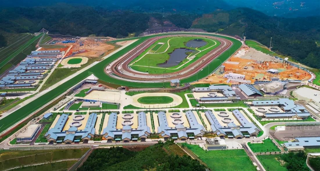 2025今晚新澳门马出什么，探索未来之门，新澳门马会预测与未来展望 2025今晚的新机遇与挑战