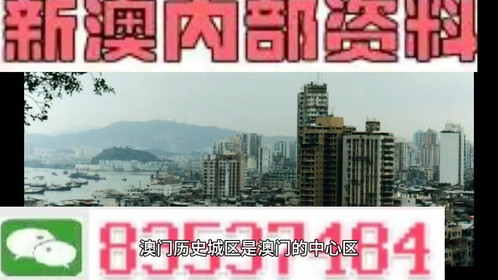 新澳门免费资料精准大全，新澳门免费资料精准大全，探索与解析