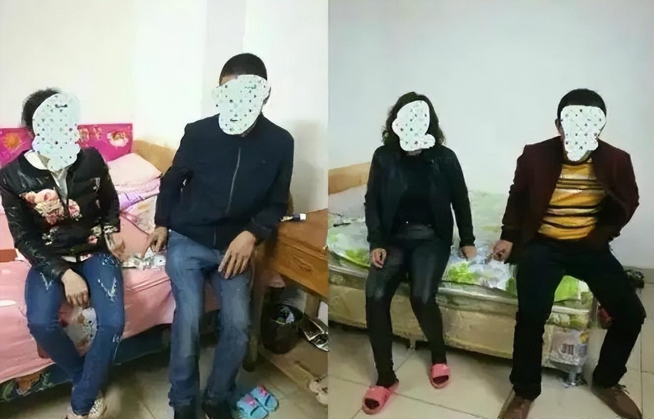四肖八肖期期准资料精选，四肖八肖期期准资料精选，探索与解析彩票背后的秘密