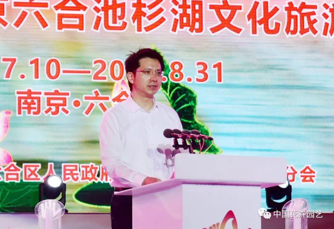 澳门6合和彩开奖记录，澳门六合和彩开奖记录，历史、数据与解析