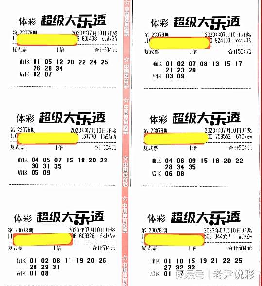 2025年正版免费天天开彩，探索未来彩票世界，2025年正版免费天天开彩