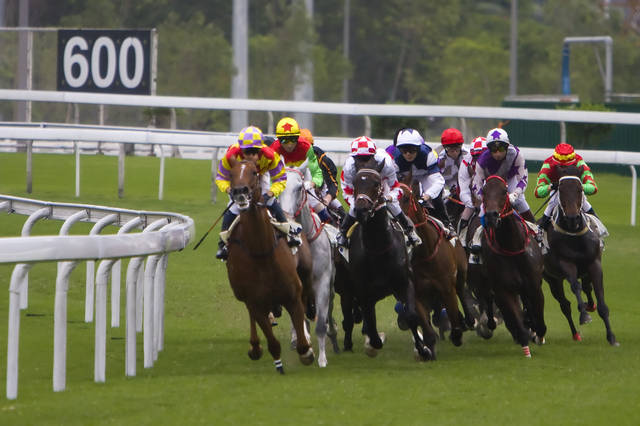 香港今晚开什么特马，香港今晚开什么特马，探索赛马运动的魅力与精彩