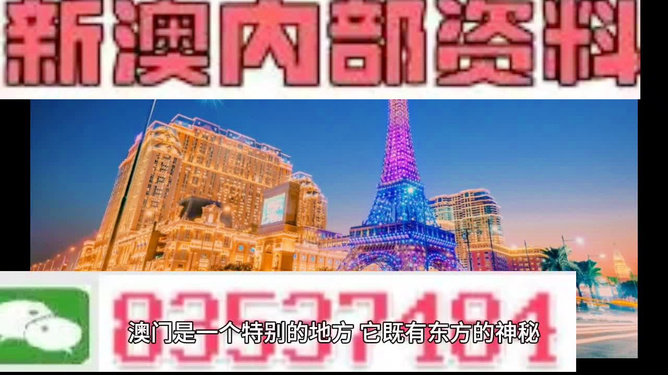 2025新澳门王中王正版，探索澳门新风貌，2025新澳门王中王正版展望