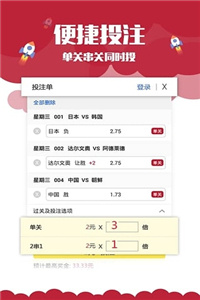 新澳门六开奖结果记录，新澳门六开奖结果记录，探索与解析