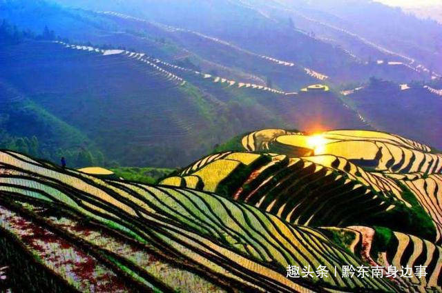 今期四不像彩图片，今期四不像彩图片，探索神秘的艺术世界