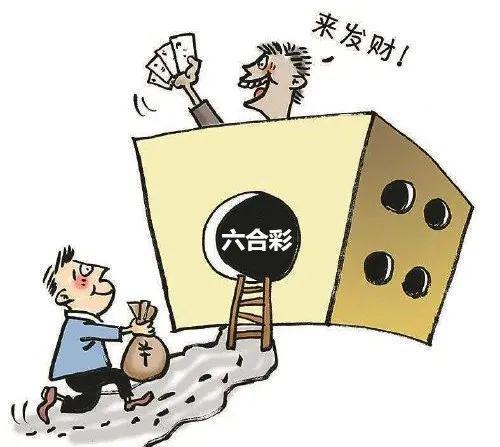 香港6合开奖结果+开奖记录2025，香港六合彩开奖结果与记录，探索与解析（2025年展望）