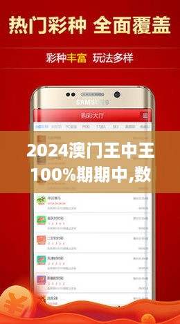 香港王中王0149站网，香港王中王0149站网，探索与解析