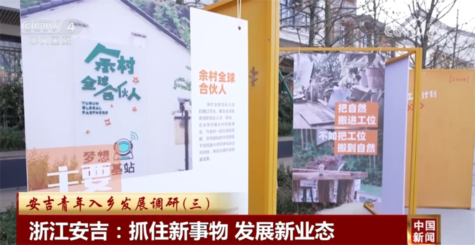 新澳门六开彩天天开好彩大全，新澳门六开彩天天开好彩大全，探索与解析