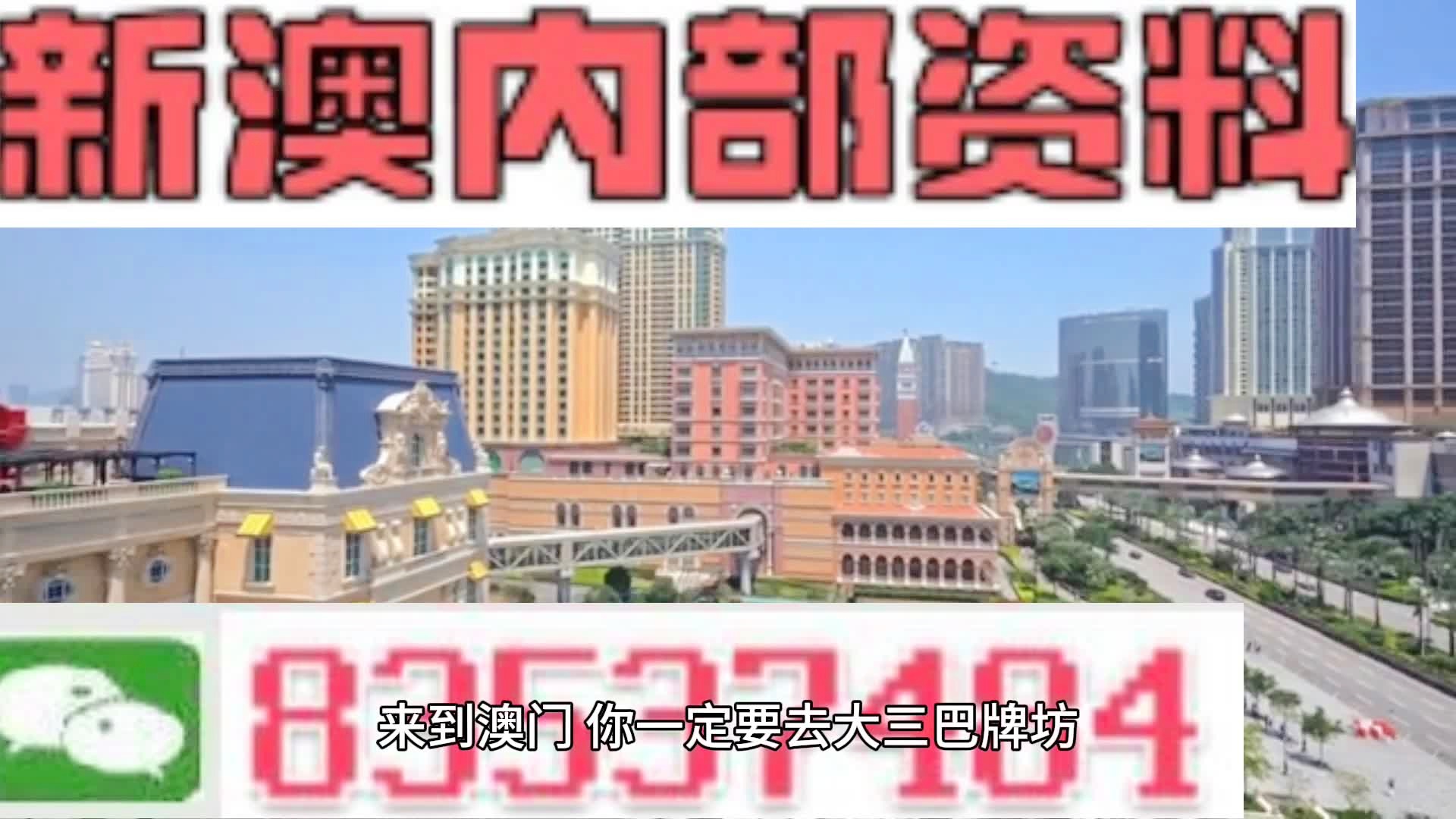 新奥门2025资料免费网址，新澳门2025资料免费网址，探索与警示