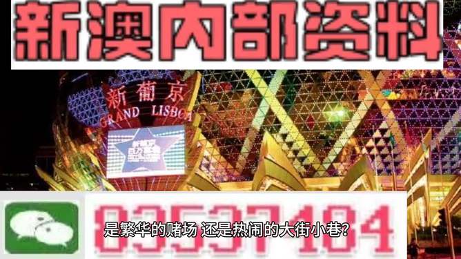 新澳最精准免费资料大全298期，新澳最精准免费资料大全298期详解