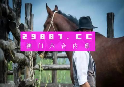 2023澳门资料免费大全，澳门资料免费大全 2023版，探索与发现之旅