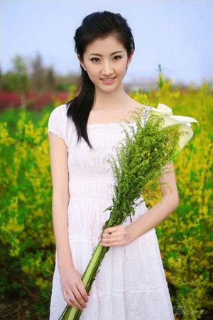 新澳门彩出号综合走势详解，新澳门彩出号综合走势详解