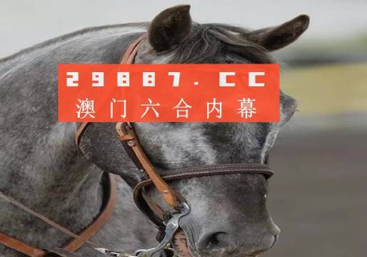 今晚澳门精准一肖一马，今晚澳门精准一肖一马预测分析