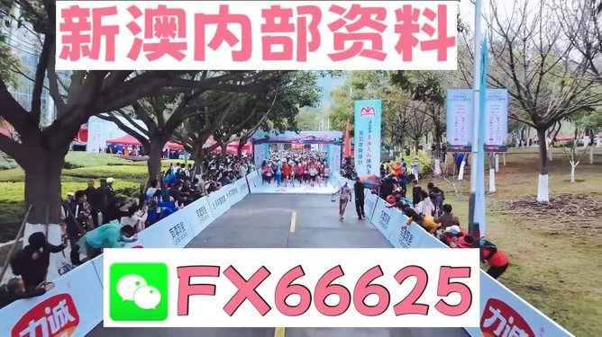 澳门彩挂牌之全篇完整，澳门彩挂牌之全篇完整