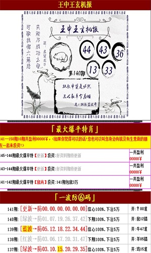 香港精准王中王全年资料，香港精准王中王全年资料解析