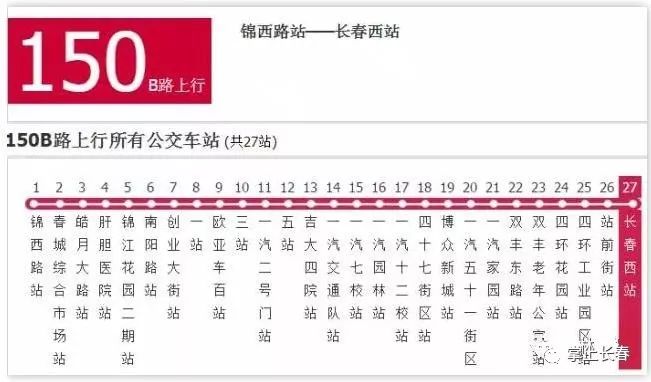 今晚澳门码特开什么号码，今晚澳门码特开什么号码，探索随机性与预测之间的微妙关系