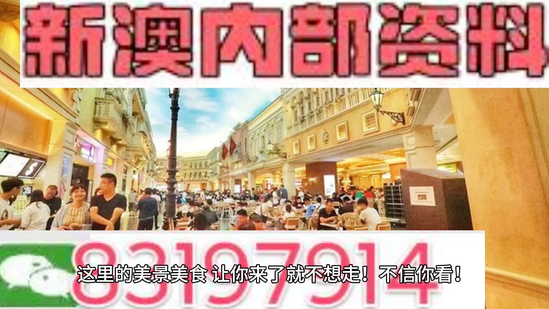 新澳门资料免费长期公开，新澳门资料免费长期公开，探索与启示