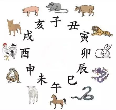 2025十二生肖49码表，揭秘十二生肖与数字世界的神秘联系，2025年十二生肖与数字49的码表解读