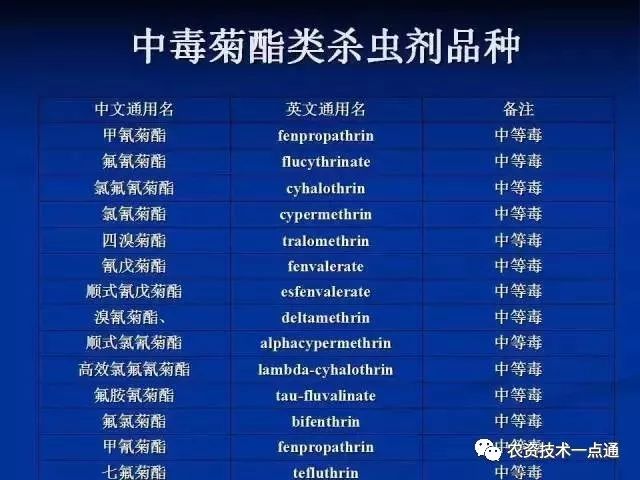 新门内部资料精准大全，新门内部资料精准大全，深度解析与全面洞察
