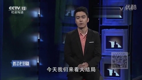 新门内部资料正版公开，新门内部资料正版公开的揭秘与探索
