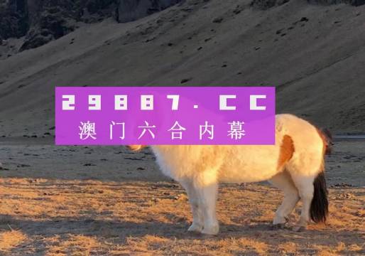 澳门六开彩天天免费领取战，澳门六开彩天天免费领取战，探索与体验