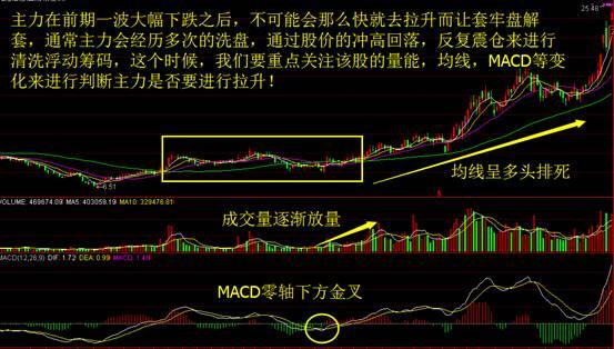 管家婆三肖一码一定中特，揭秘管家婆三肖一码一定中特，真相与风险并存的游戏