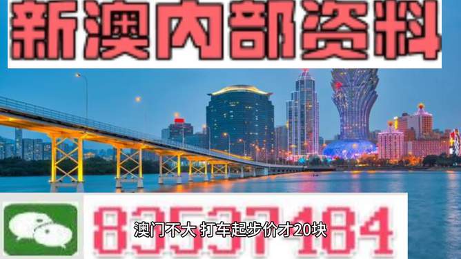 2025澳门最精准资料免费，澳门2025年最精准资料免费，探索未来与把握机遇的蓝图