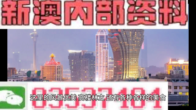 新奥新澳门正版资料，新奥新澳门正版资料，探索与解读