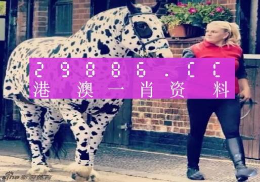 澳门王中王一肖一中一码，澳门王中王，一肖一中一码的魅力与探索