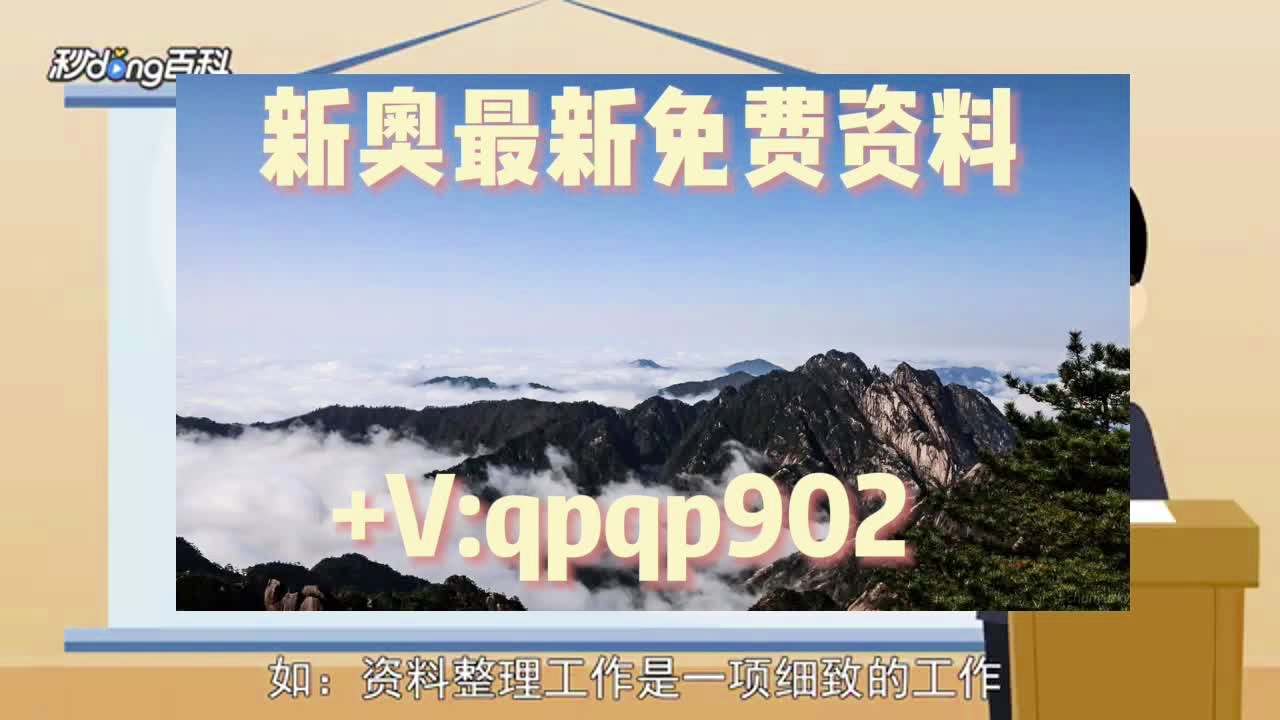 新澳天天开奖资料大全153期，新澳天天开奖资料大全第153期详解