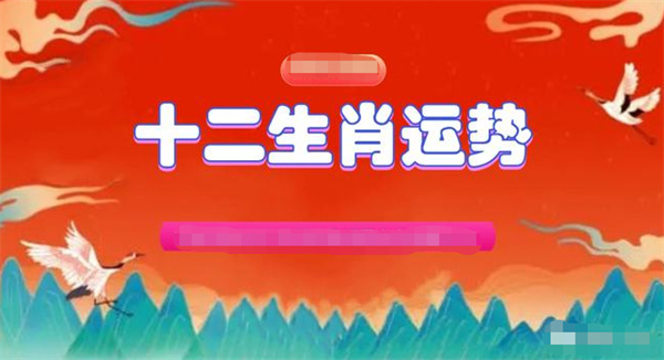 澳门一肖一码最准一码，澳门一肖一码最准一码，探索与解析