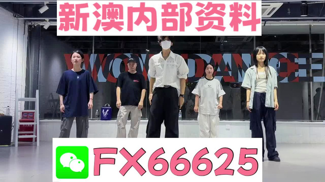 新澳天天彩免费资料大全查询，新澳天天彩免费资料大全查询，探索彩票世界的宝藏