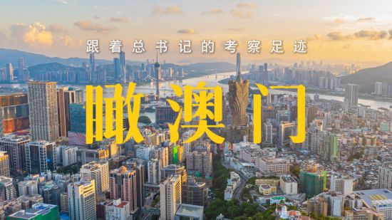 2025年澳门大全免费，澳门未来展望，迈向2025年大全免费的时代