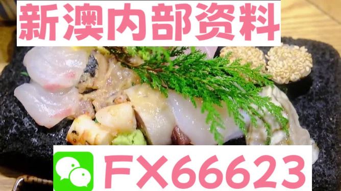 新澳精准资料免费提供网站有哪些，探索新澳精准资料提供的免费网站，信息海洋中的宝藏之地