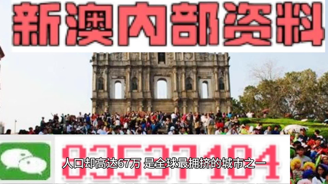 澳门正版资料免费大全新闻，澳门正版资料免费大全新闻，探索与解读