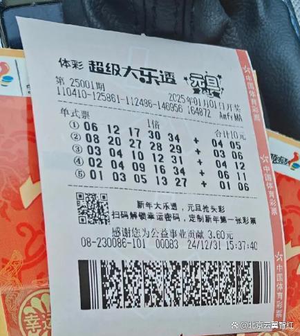 2025年一肖一码一中，探索未来彩票奥秘，2025年一肖一码一中