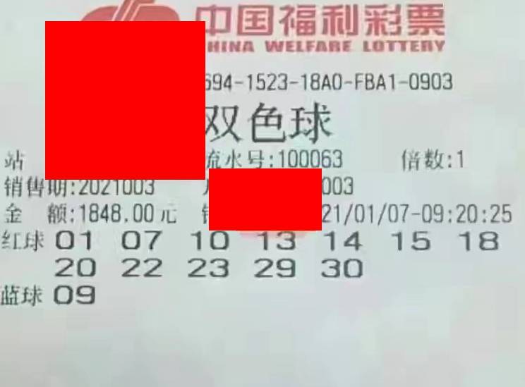 2023澳门特马今晚开奖结果，澳门特马今晚开奖结果，探索彩票背后的故事与影响
