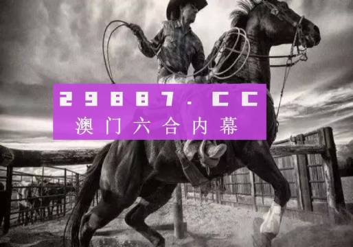 澳大王中王免费正版资料，澳大王中王免费正版资料详解