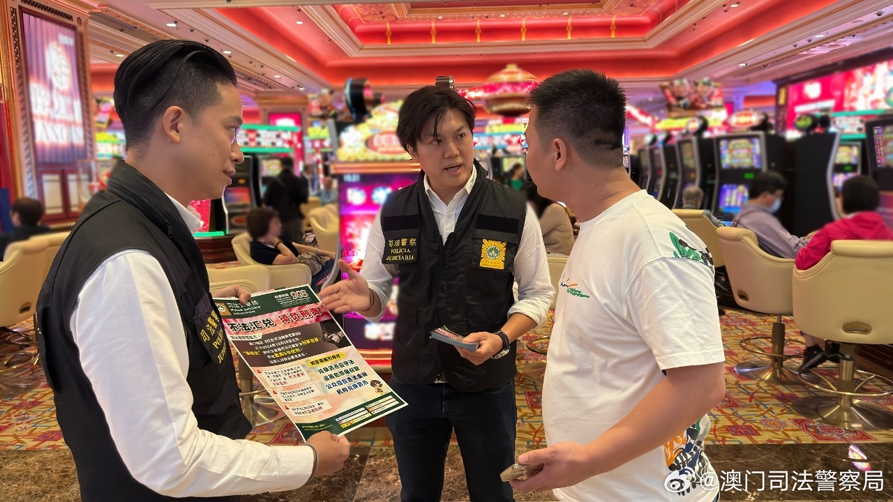 新澳门今期特马，新澳门今期特马，探索与发现