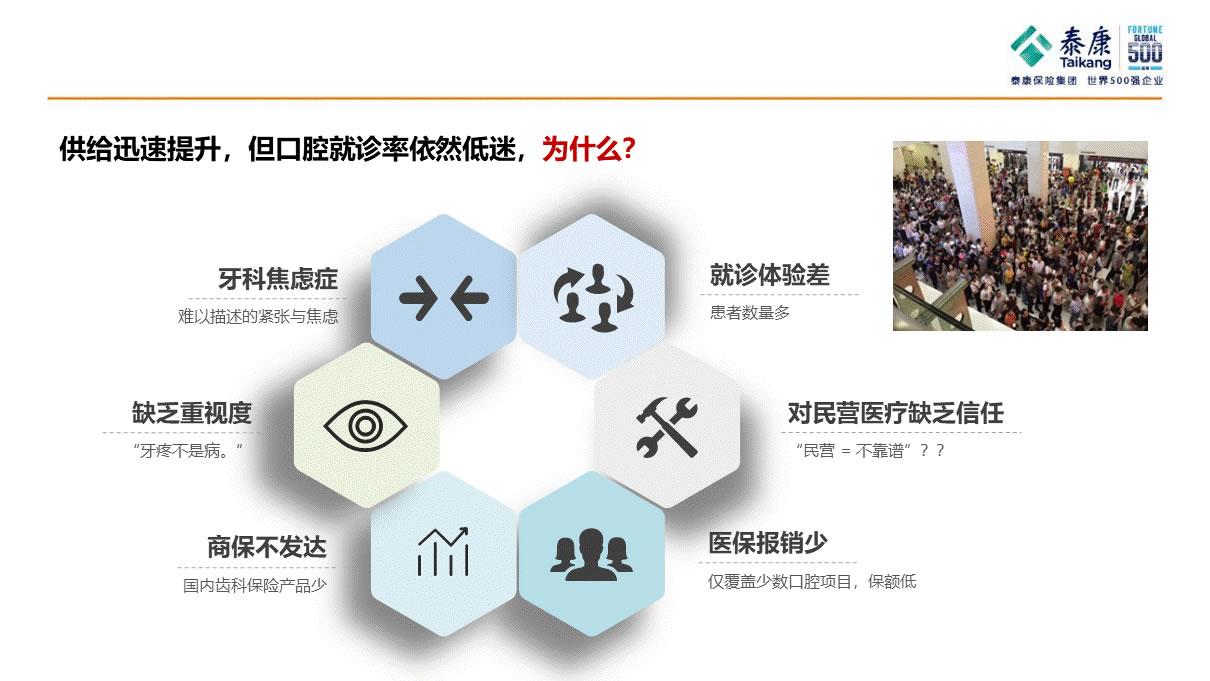 澳码精准100%一肖一码最准肖，澳码精准100%一肖一码最准肖，揭秘彩票预测的真相与策略