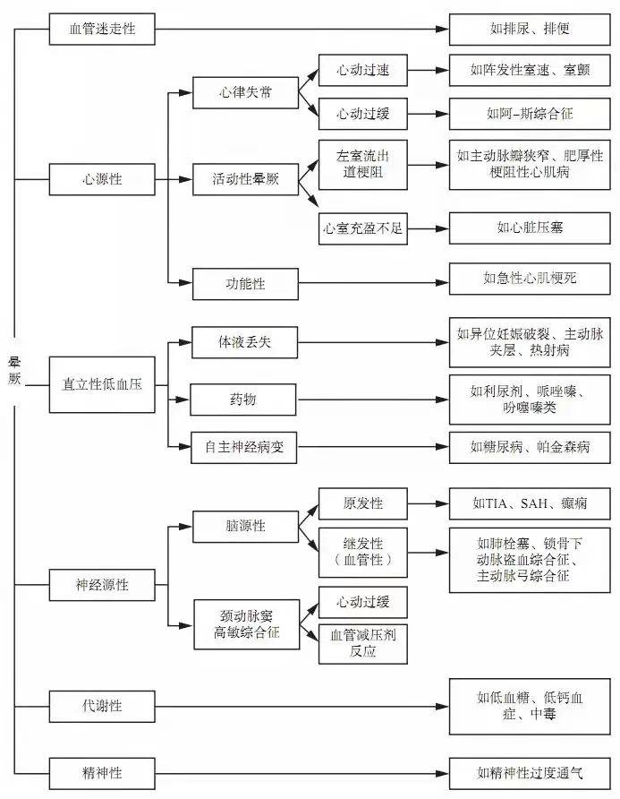 7777788888王中王中特，探索数字背后的秘密，王中王中特与数字世界中的奥秘