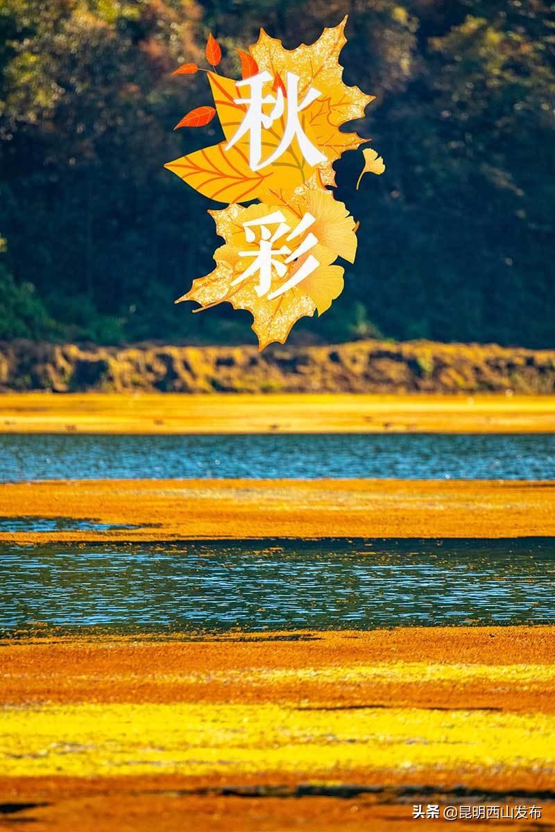 2025年天天彩免费资料，探索未来，关于2025年天天彩免费资料的深度解析