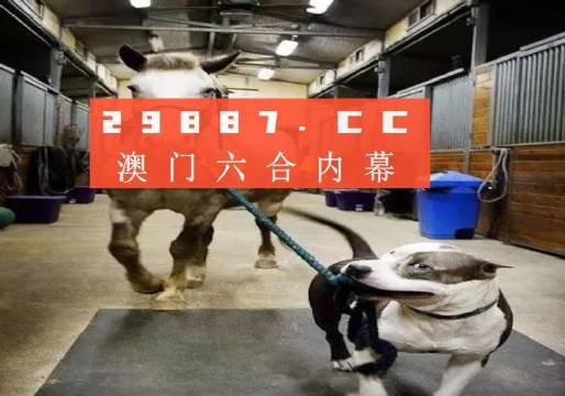 澳门一肖一码一必中一肖苏州，澳门一肖一码一必中一肖苏州，探索命运之轮的神秘面纱