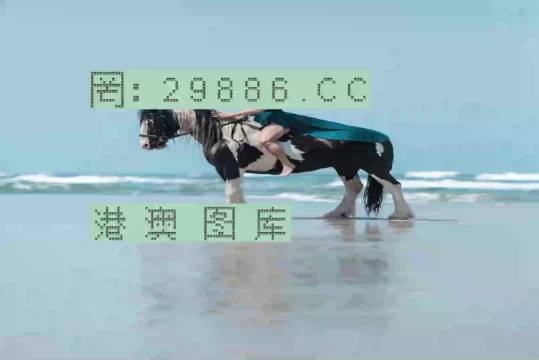 新澳门一肖一码中恃，新澳门一肖一码中恃，探索与解读