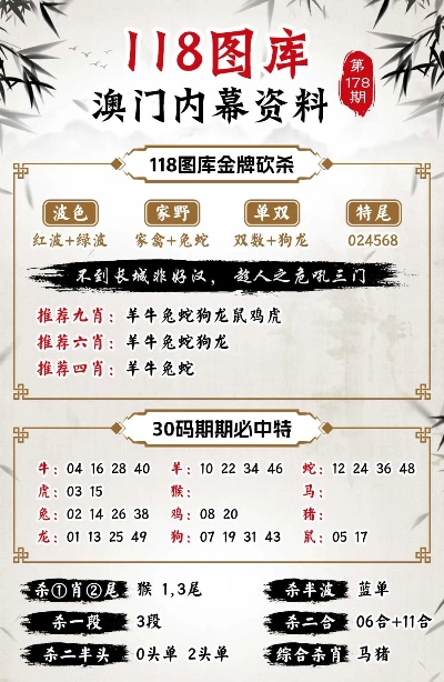 澳门凤凰版四不像是什么意思，澳门凤凰版四不像的解析与探讨