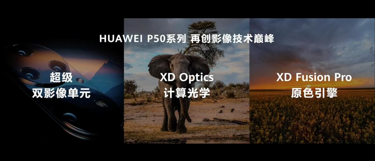 正版资料免费大全资料，正版资料免费大全资料，助力知识共享与自我提升的时代引擎