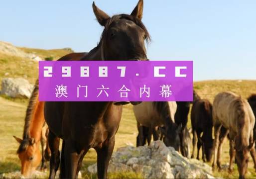 澳门正版管家婆免费资料，澳门正版管家婆免费资料，探索与解析